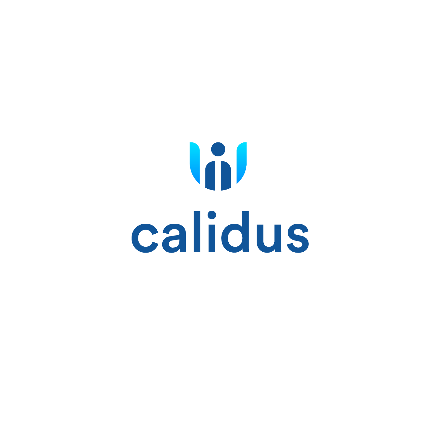 Calidus Group